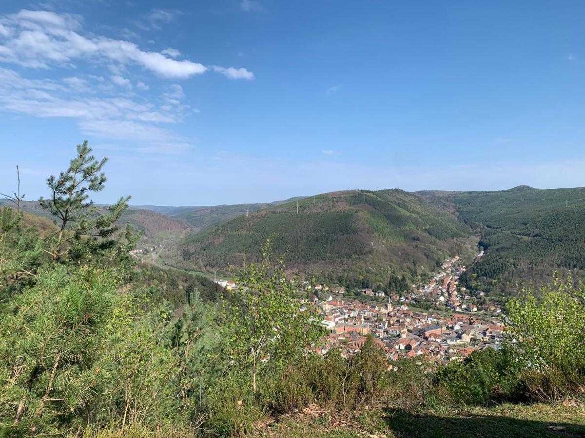 Apartament Dicker Stein Lambrecht  Zewnętrze zdjęcie