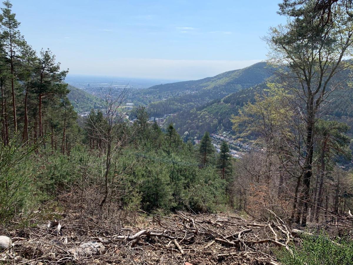 Apartament Dicker Stein Lambrecht  Zewnętrze zdjęcie